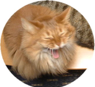 レオの大あくび
