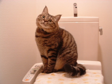 いいな～