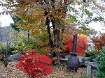 我家の紅葉２.jpg