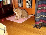 DSC04853.jpg
