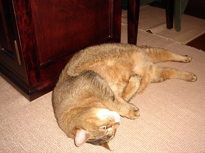 DSC03689.jpg