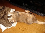 img094a46b9z2lywa.jpg