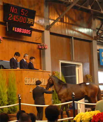 エアグルーヴ2006