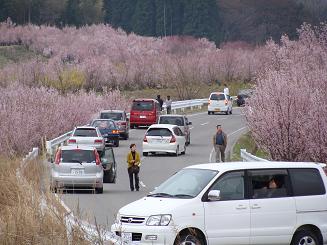 渋滞.JPG