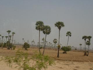 カンボジアの景色