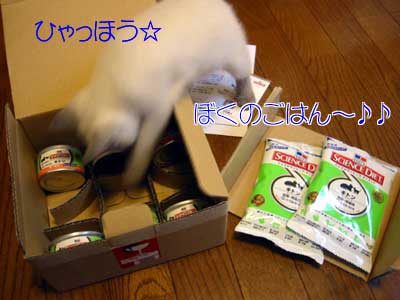 otamesi2.jpg