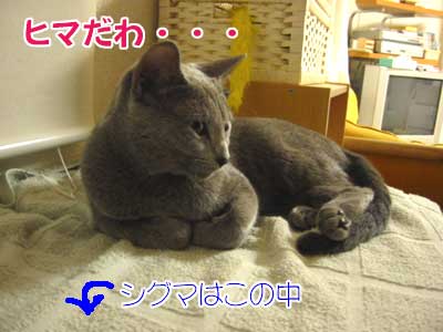 hima.jpg