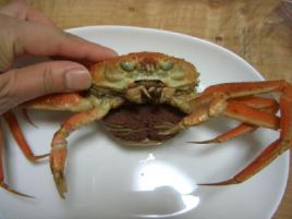 そとこ！！！