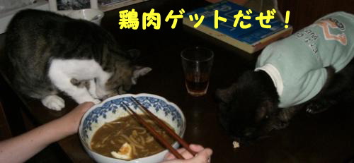 残り物でカレーうどん