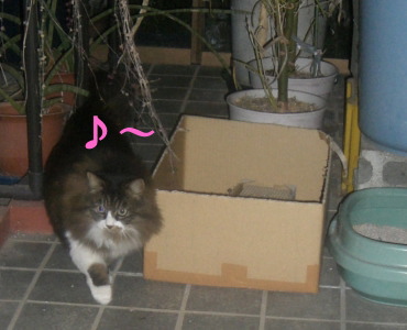 07012422.CIMG0012.jpg