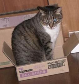 ちょっと無理では？