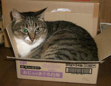 ちょっと無理では？