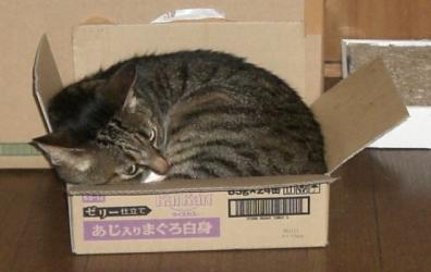 ちょっと無理では？