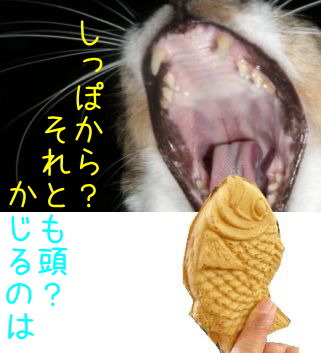 たこ焼きとたいやき