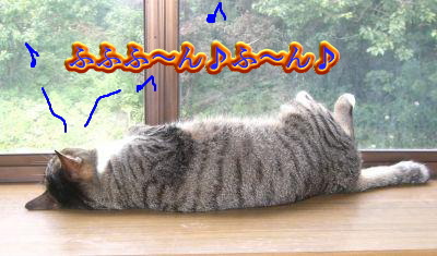 やられてるよぅ！