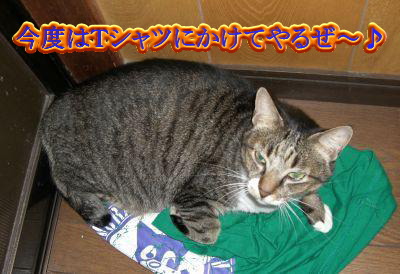 やられてるよぅ！