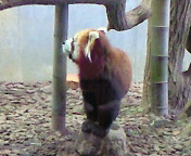 1.20動物園.jpg