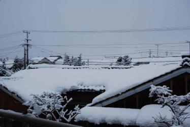 200912.21雪12.20.JPG