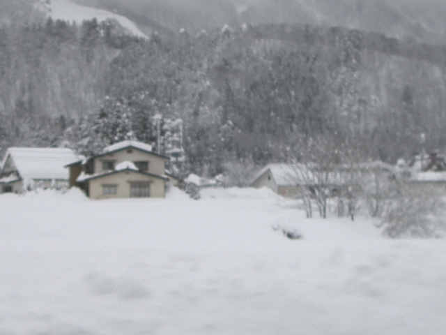 雪景色 (8).JPG