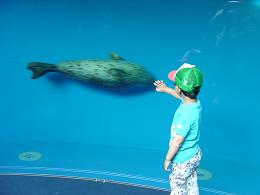 しながわ水族館９.JPG