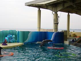 新江ノ島水族館３.JPG