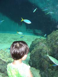 葛西水族館１.JPG