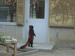 千葉市動物公園６.JPG