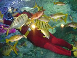 サンシャイン水族館４.JPG