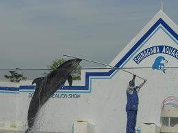 しながわ水族館７.JPG