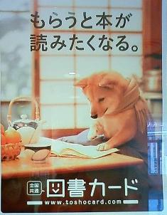 11.12柴犬ポスター１