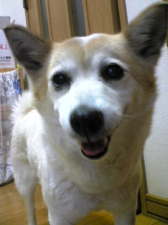 開放されたなり♪