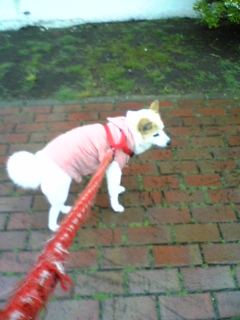 まだ、帰らないよ