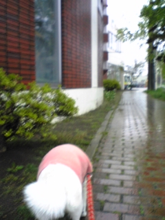 勝者★メル！！