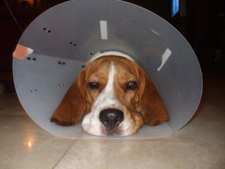 daichan&mama 001.jpg