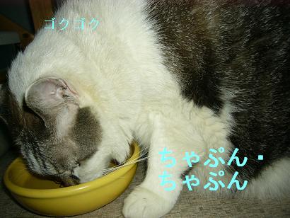 飲む.JPG