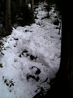 天覚山手前の急登