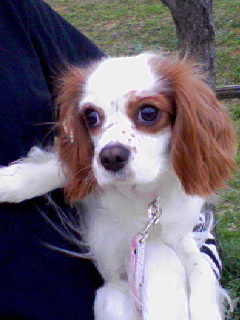 070402_1807~01.jpg