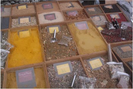 eu2010 1013_Small.JPG