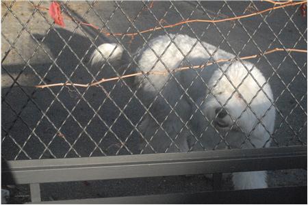 eu2010 1188_Small.JPG