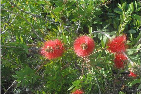 eu2010 1125_Small.JPG