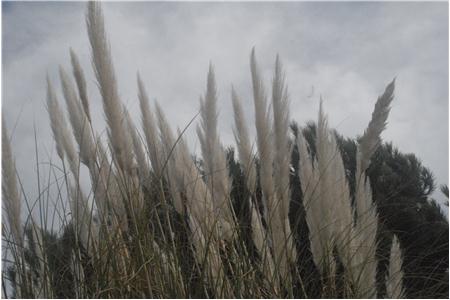 eu2010 1134_Small.JPG