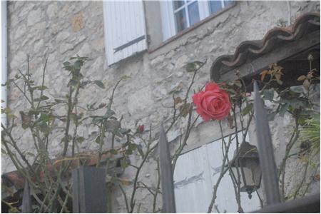 eu2010 1116_Small.JPG