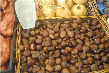 eu2010 005_Small.JPG