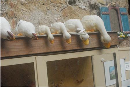 eu2010 1048_Small.JPG