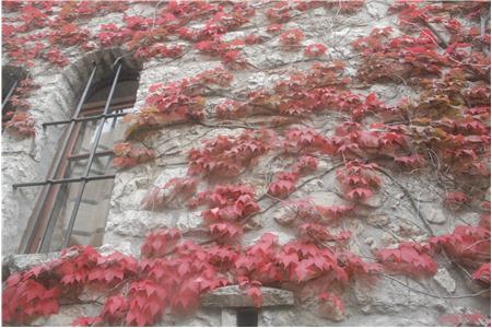 eu2010 1025_Small.JPG