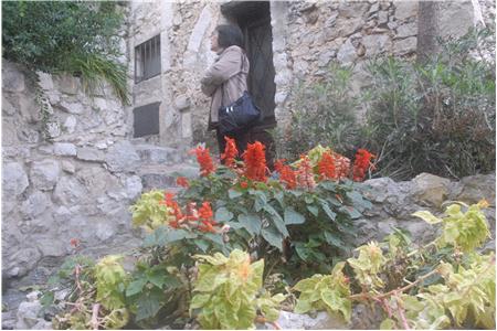 eu2010 1037_Small.JPG