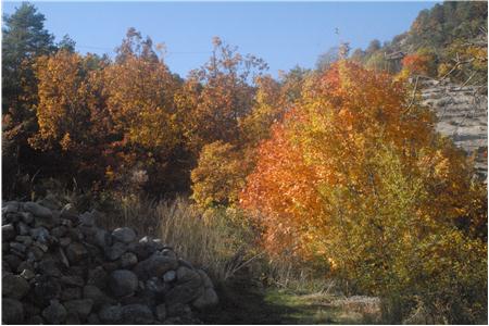 eu2010 658_Small.JPG