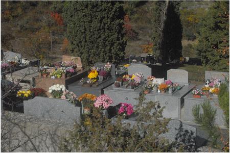 eu2010 653_Small.JPG