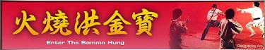 Enter The Sammo Hung Banner Ver22.jpg