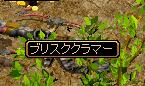 0312ぶりすく.JPG